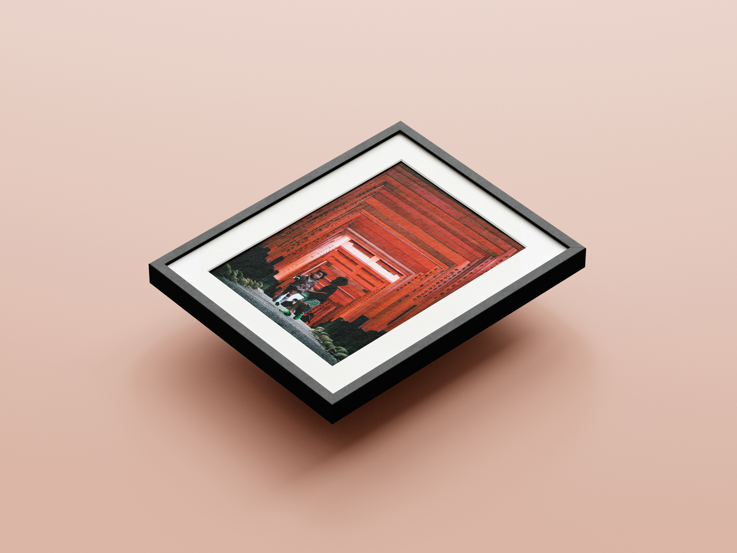 Chasing Dreams in Kyoto