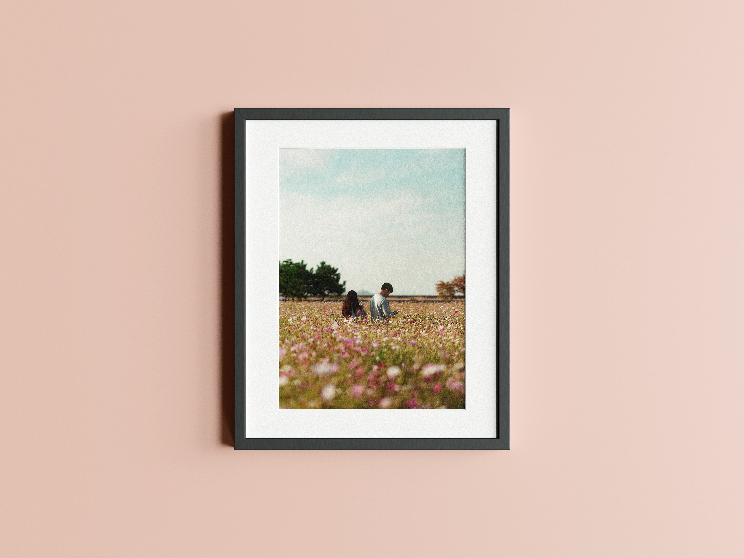 Cosmos Couple (KOREA)