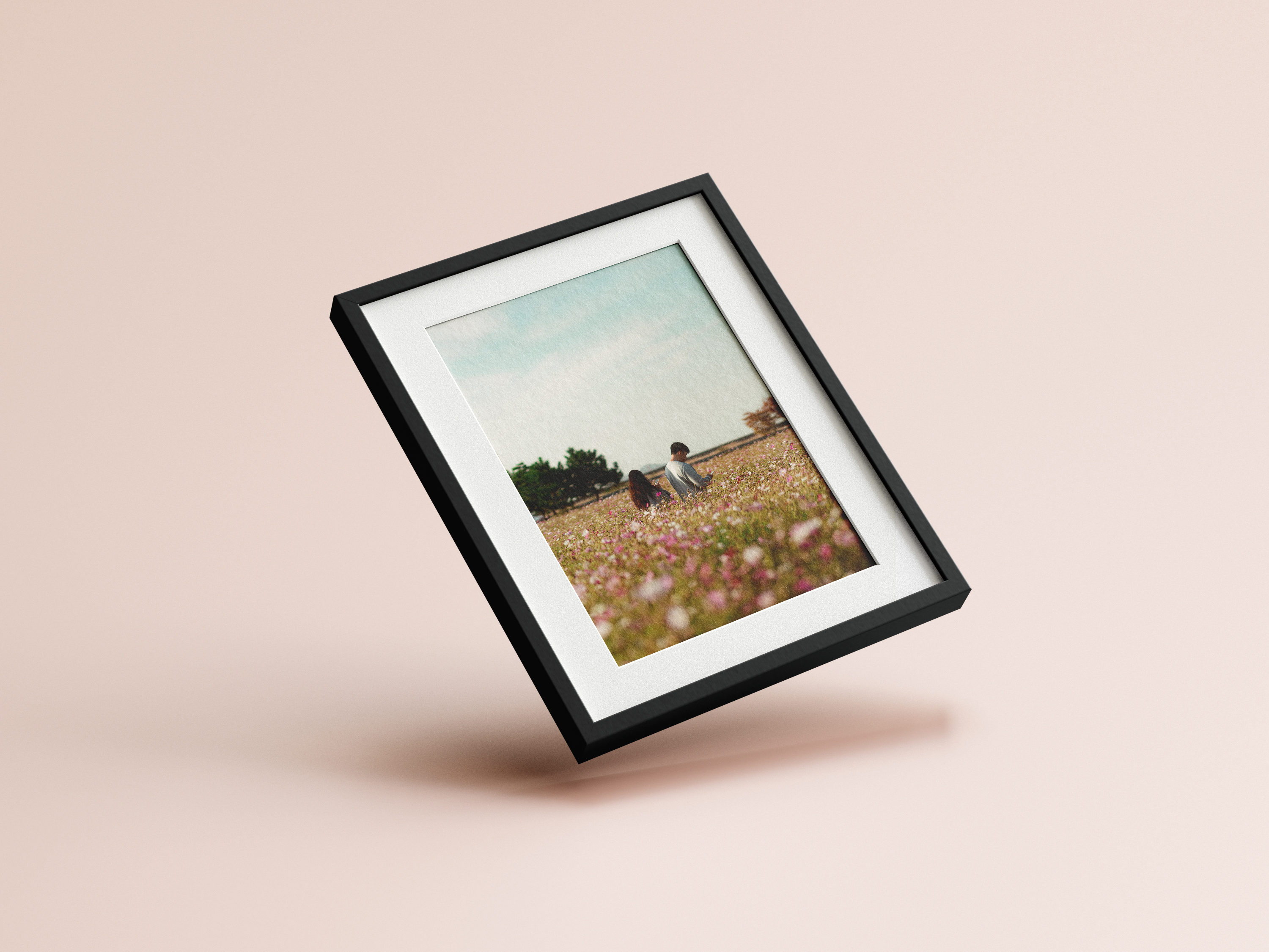 Cosmos Couple (KOREA)