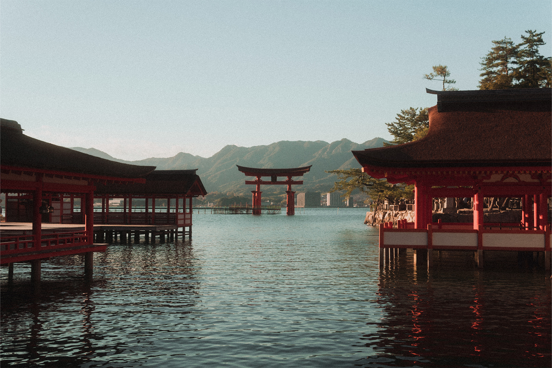 Miyajima Golden Hour
