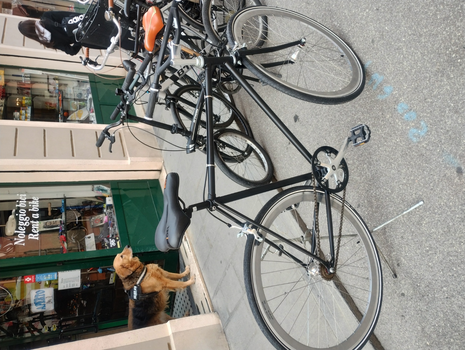 Bicicletta Fixed Saraceno bike