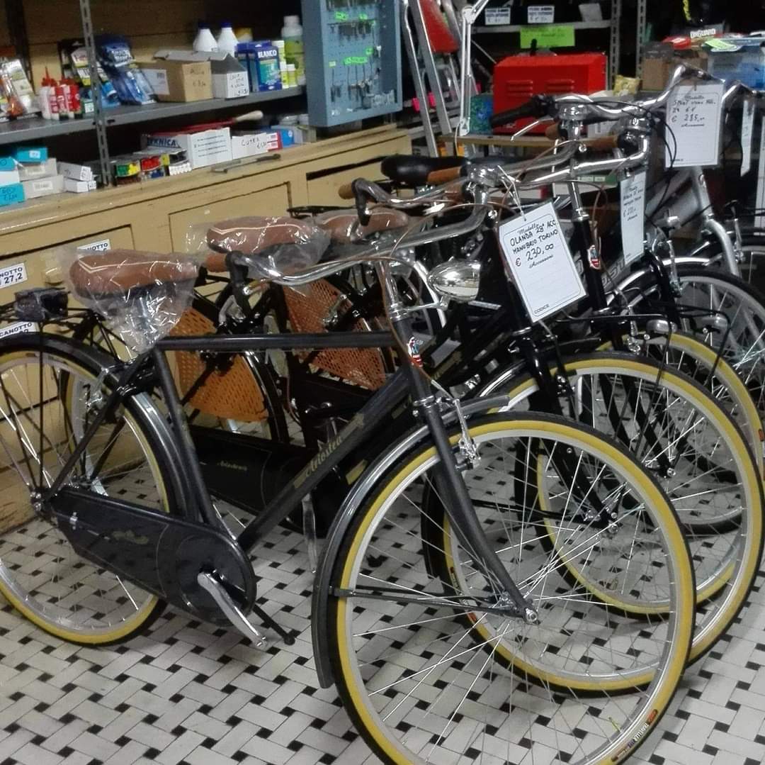 Biciclette Ariostea diverse