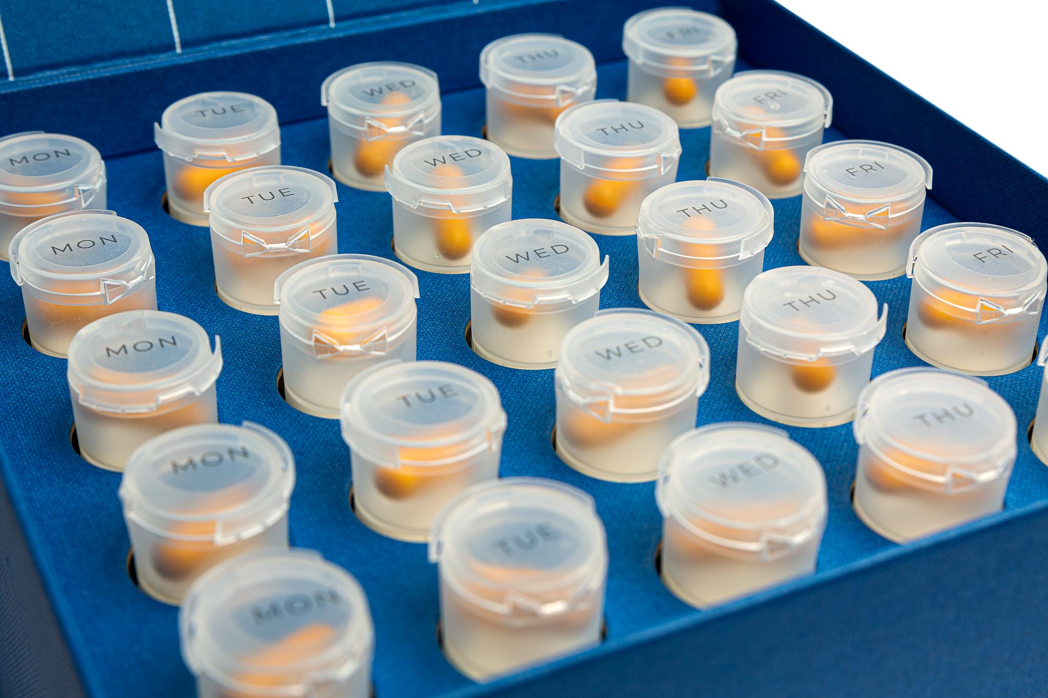 NoAGE women SAPPHIRUS