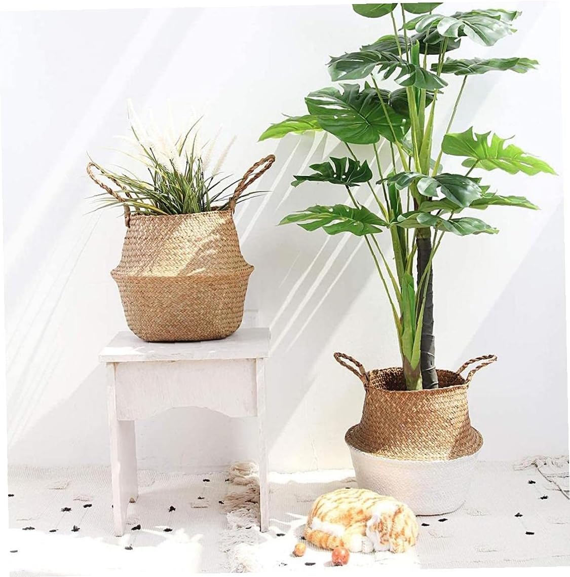 Natural canasta de almacenamiento Seagrass con la manija plegable tejido del vientre Cesta de la flor de la planta de almacenamiento de lavandería cesta de picnic Tiesto cubierta Sala Decoración