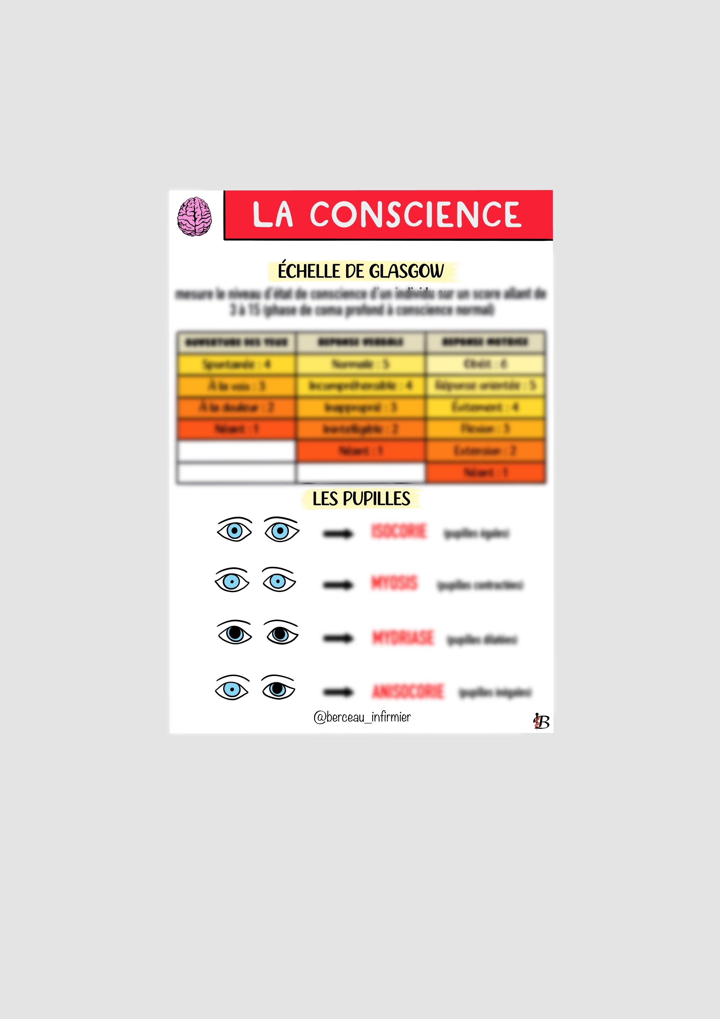 Fiche EVALUATION CONSCIENCE