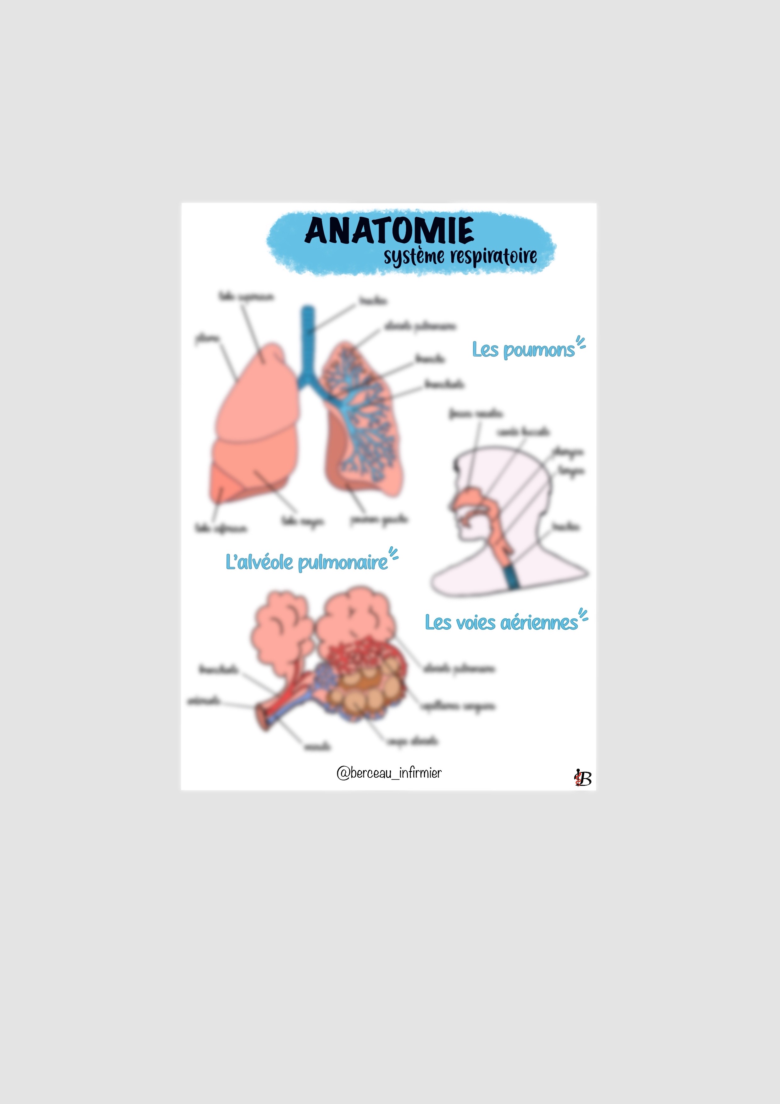 Fiche anatomie SYSTEME RESPIRATOIRE