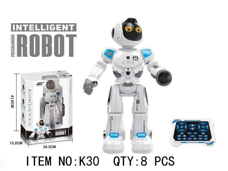 Intelligent Programming Robot