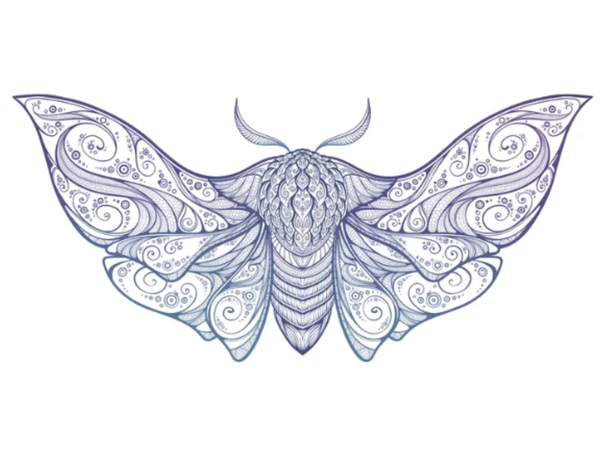 DIGITAL Coloring Book