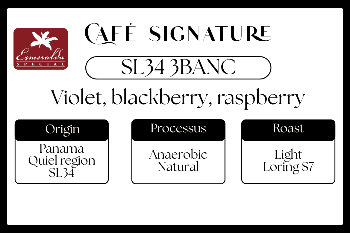 Panama SL34 - Hacienda La Esmeralda  - 3BANC