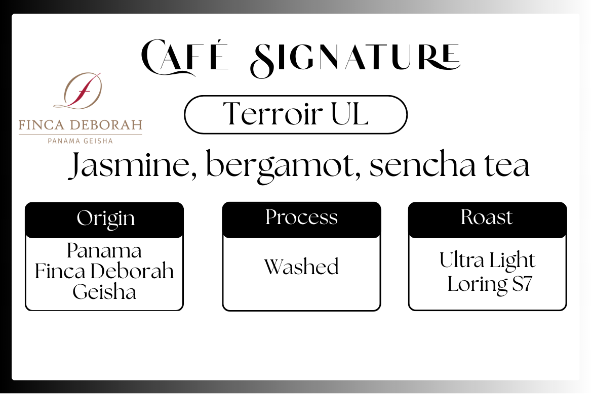 Panama Geisha - Finca Deborah - Terroir Ultra Light