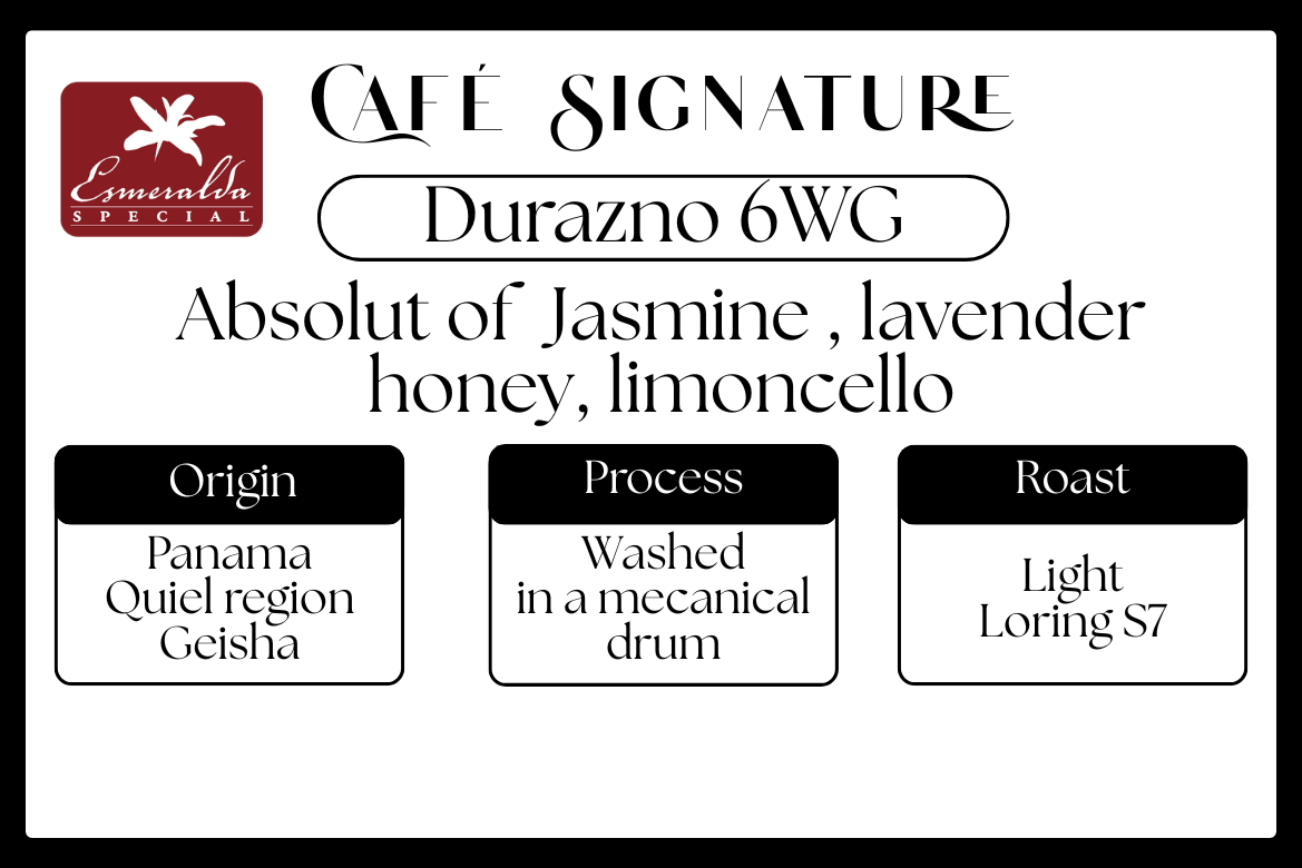 Panama Geisha - Hacienda La Esmeralda  - 6WG