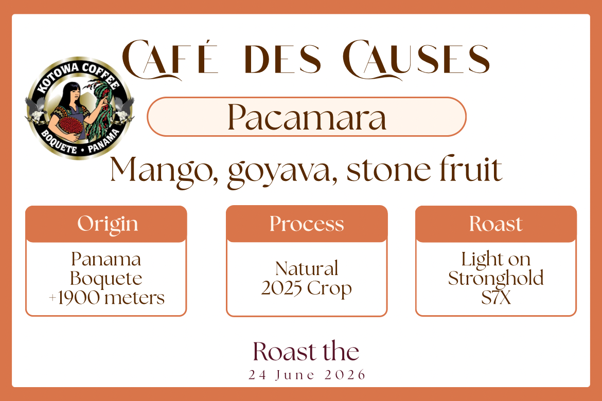 Father Day Coffee - Panama Pacamara - Kotawa - Natural