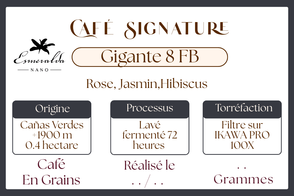 Panama Geisha - Hacienda La Esmeralda  - Nano Nano lot - Gigante 8FB