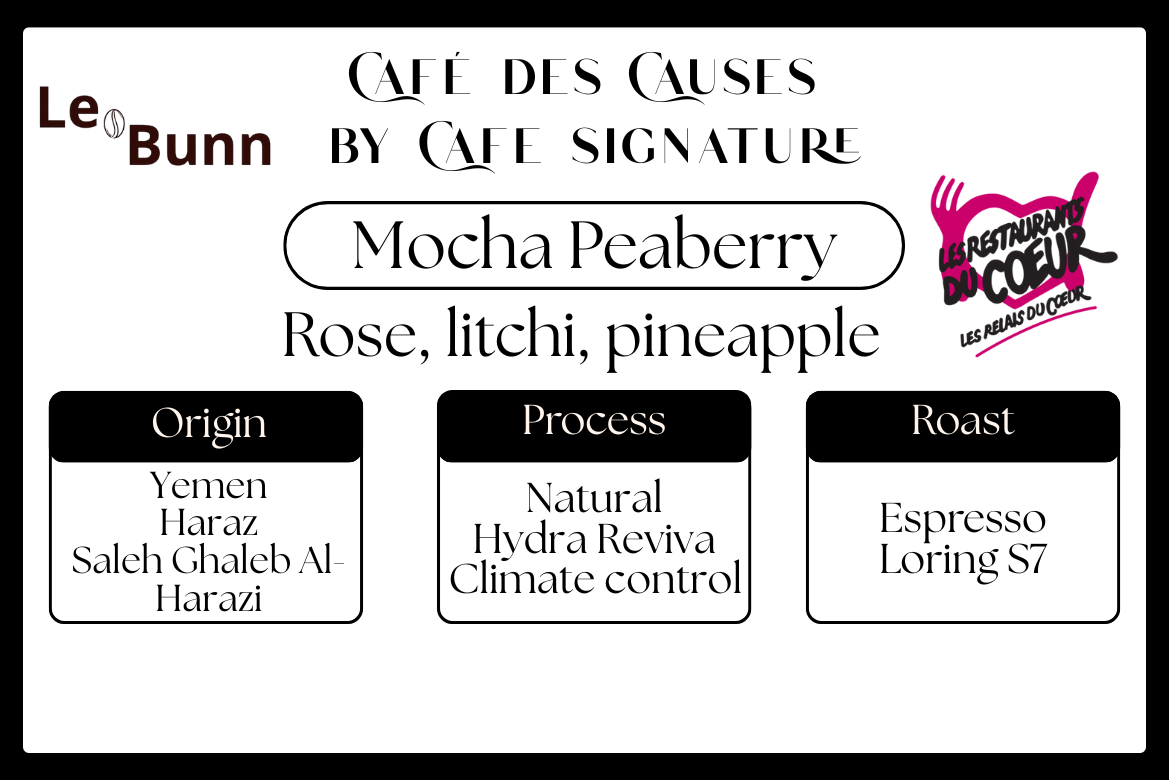 Mocha Peaberry | Café des causes par LeBunn