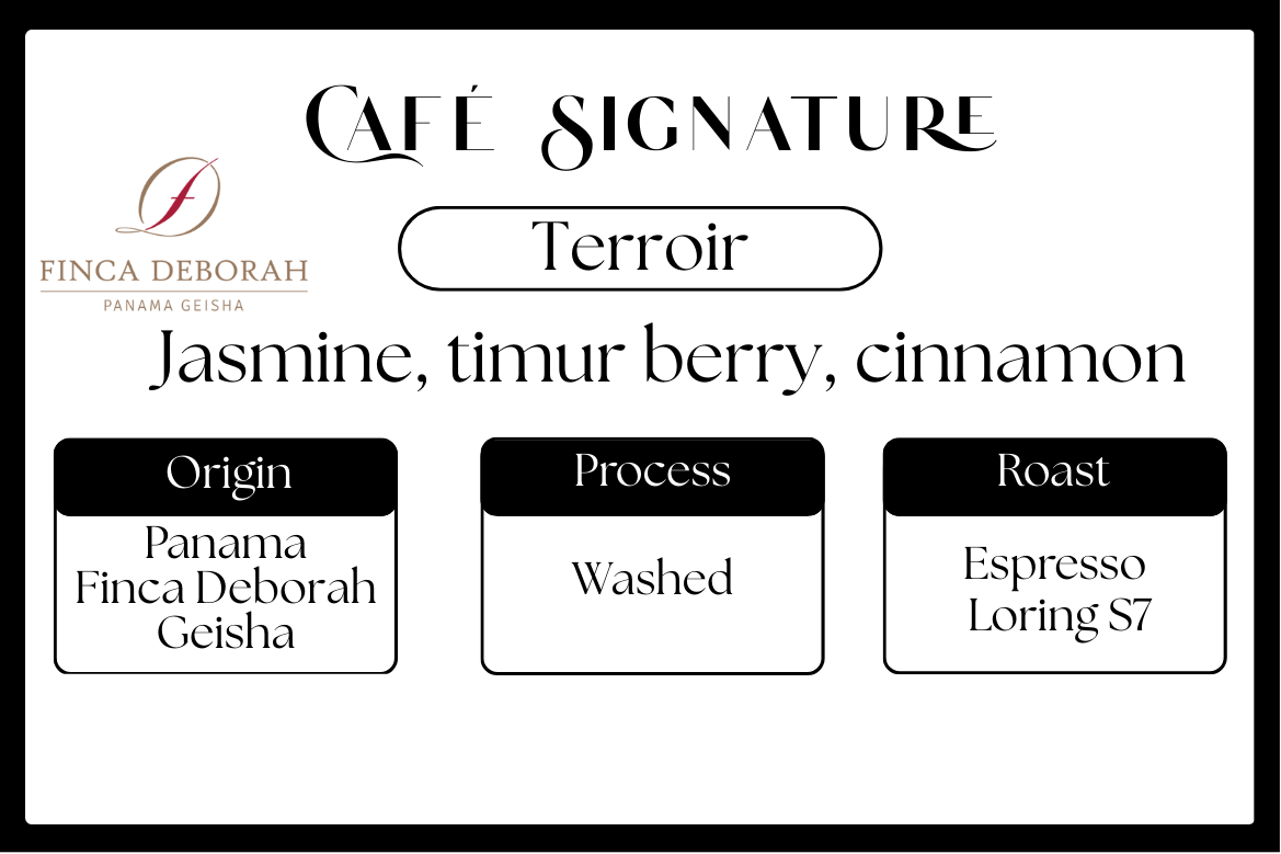 Panama Geisha - Finca Deborah  - Terroir