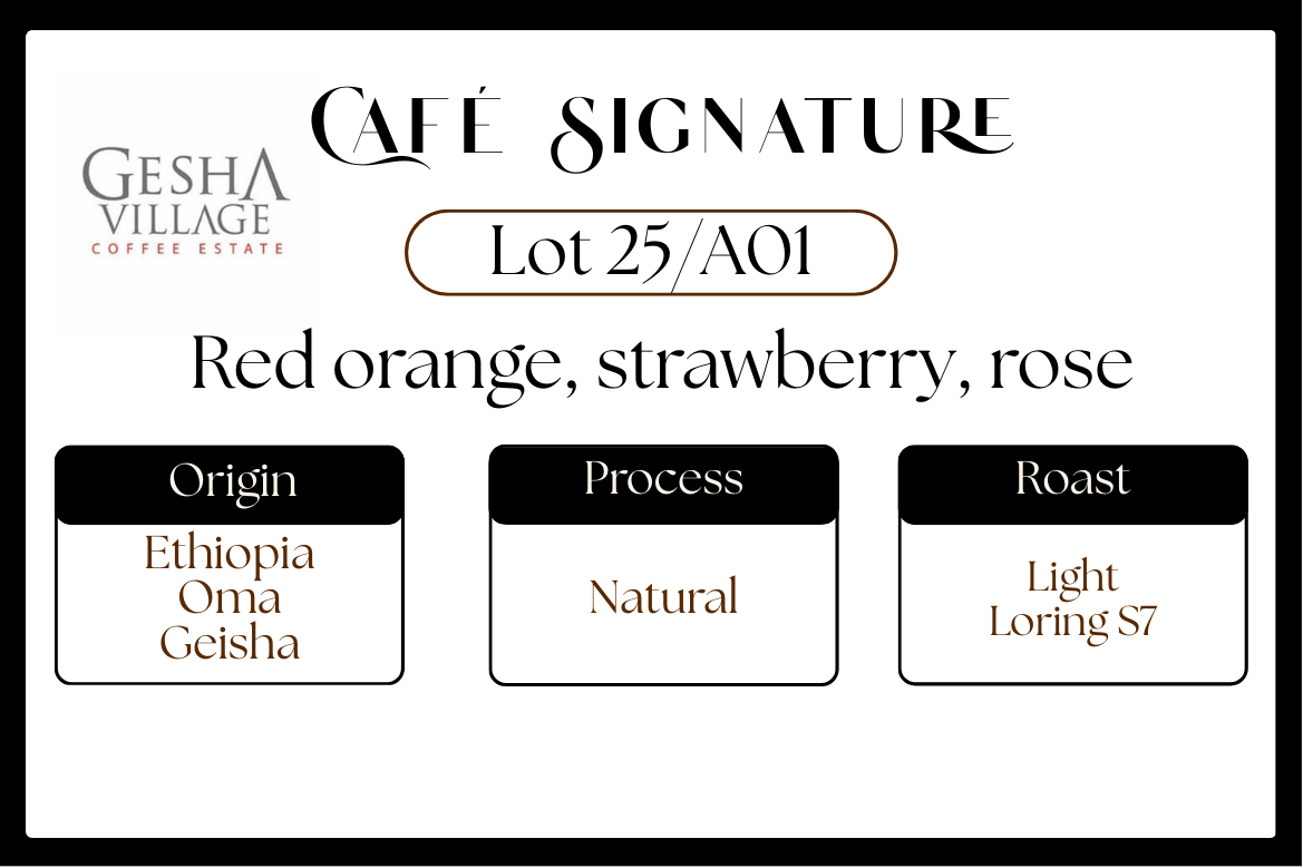 Ethiopie Geisha - Gesha Village  - Oma Nature Lot 25/A-01