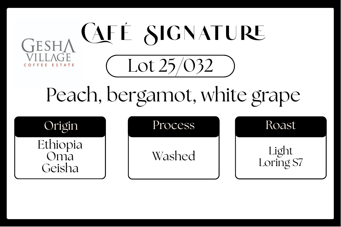 Ethiopie Geisha - Gesha Village  - Oma lavé Lot 25/032