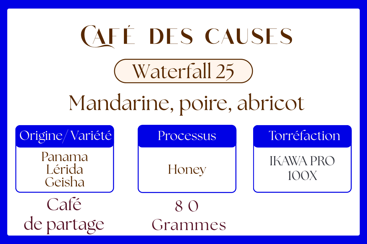Panama Geisha - Lérida - Honey Waterfall lot 25