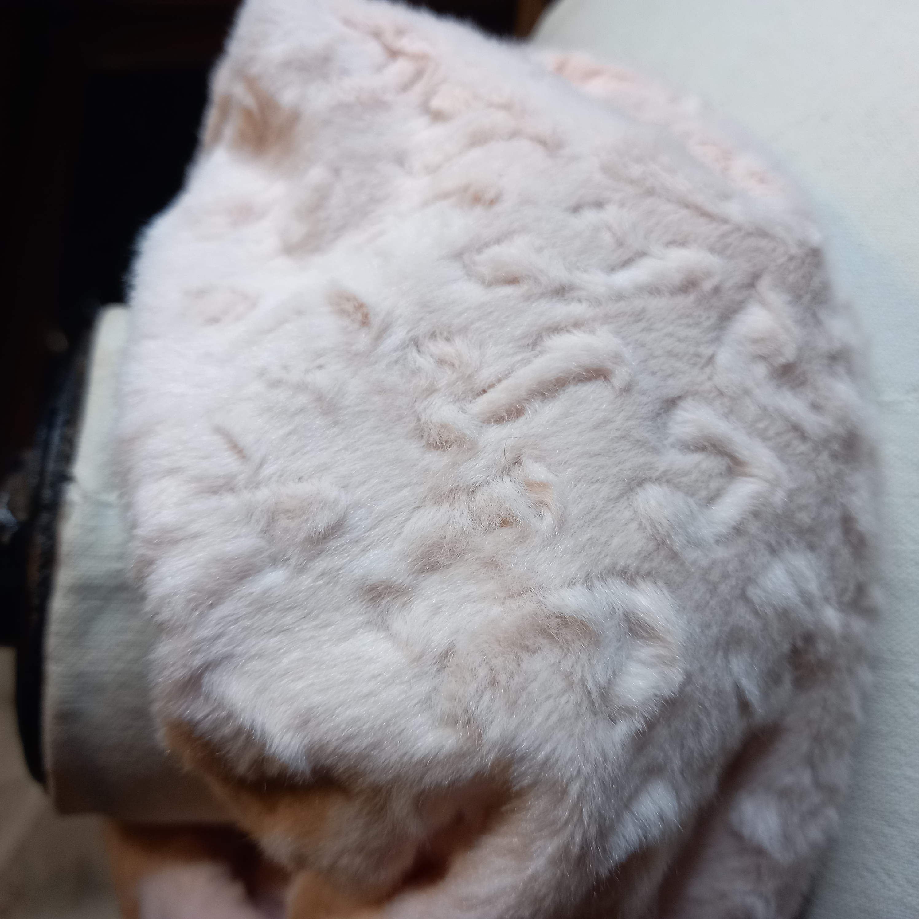 Tour de cou douceur léopard 