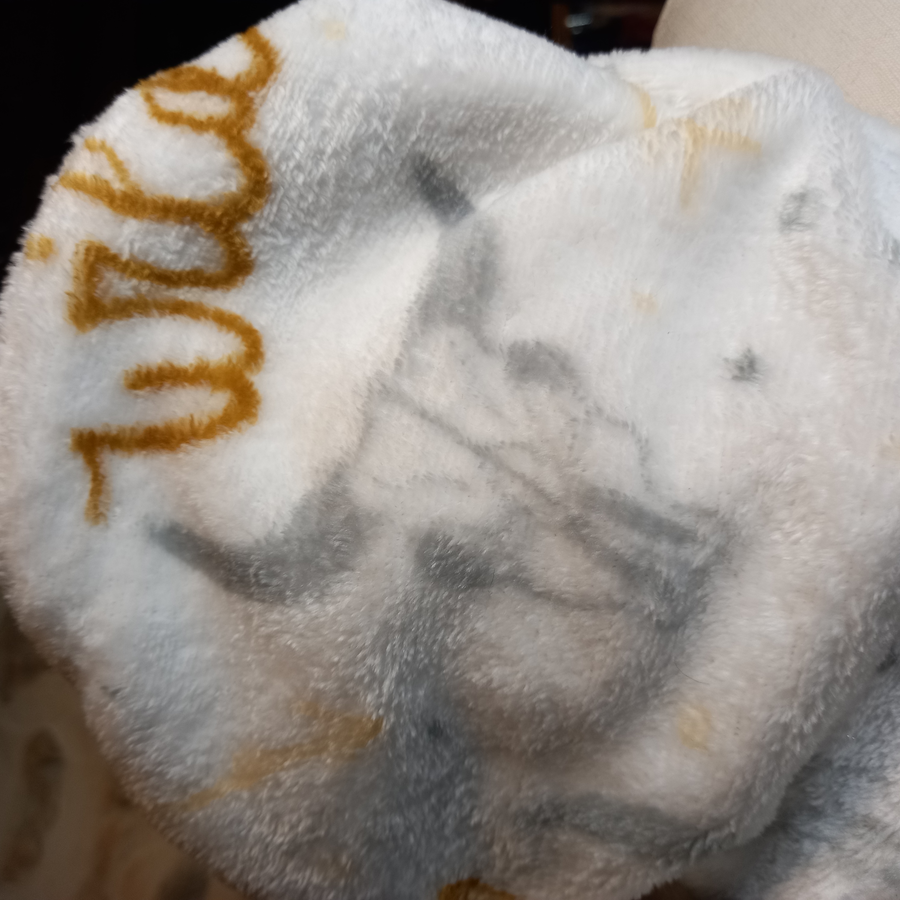 Tour de cou léopard suédine Wild