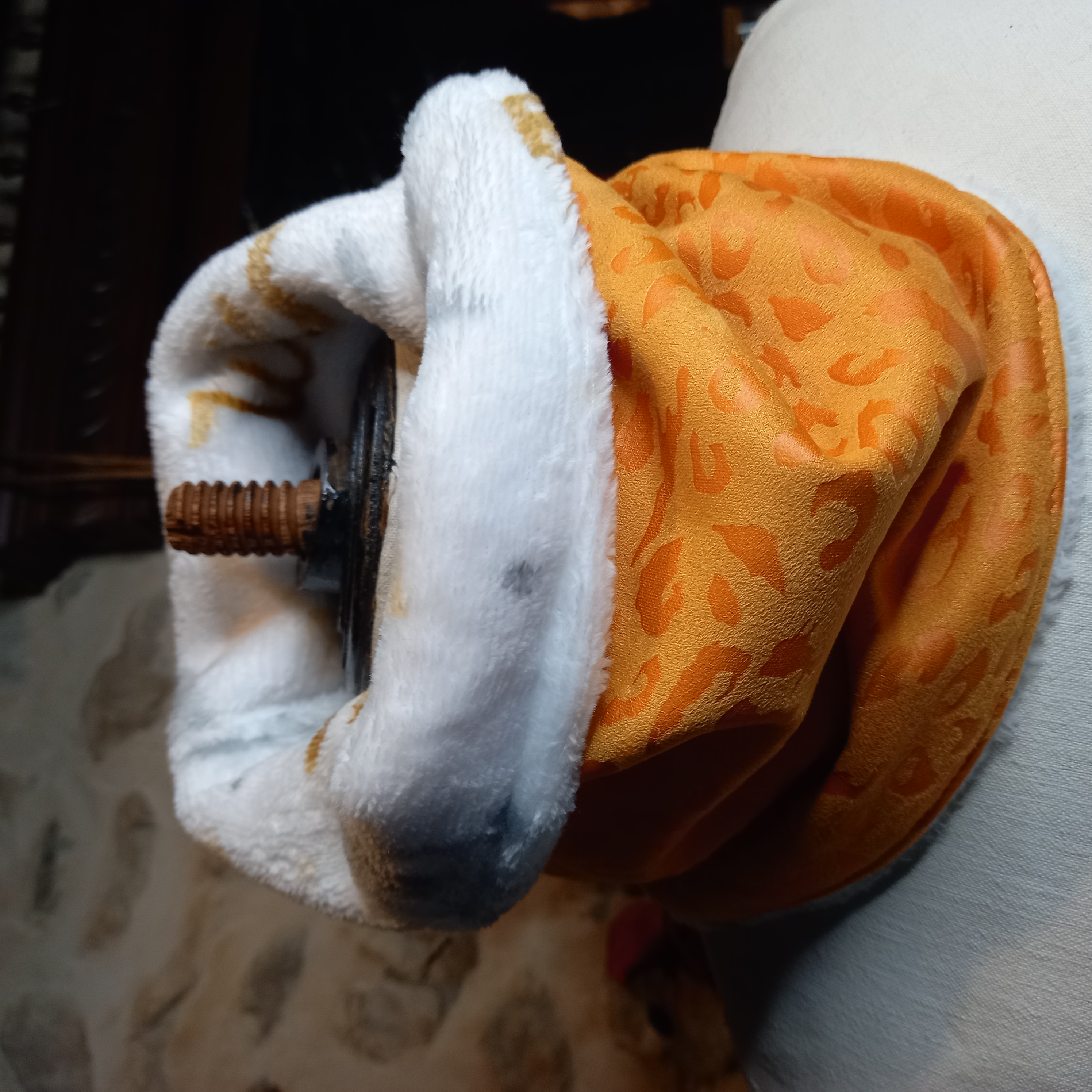 Tour de cou léopard suédine Wild