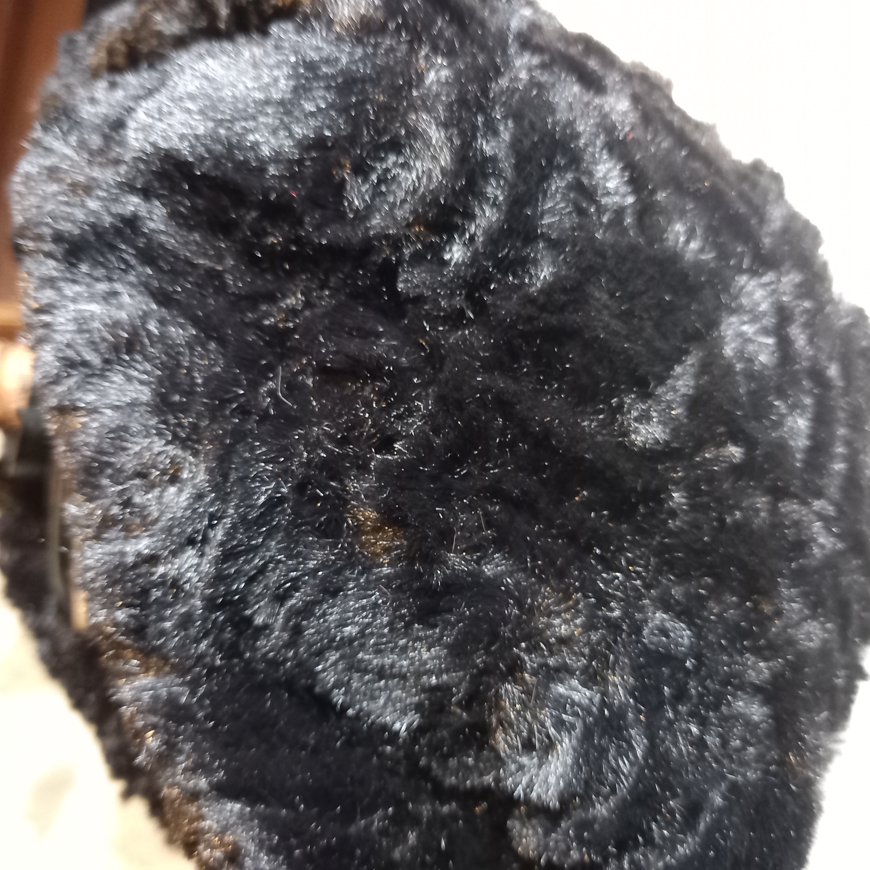 Tour de cou skull rose