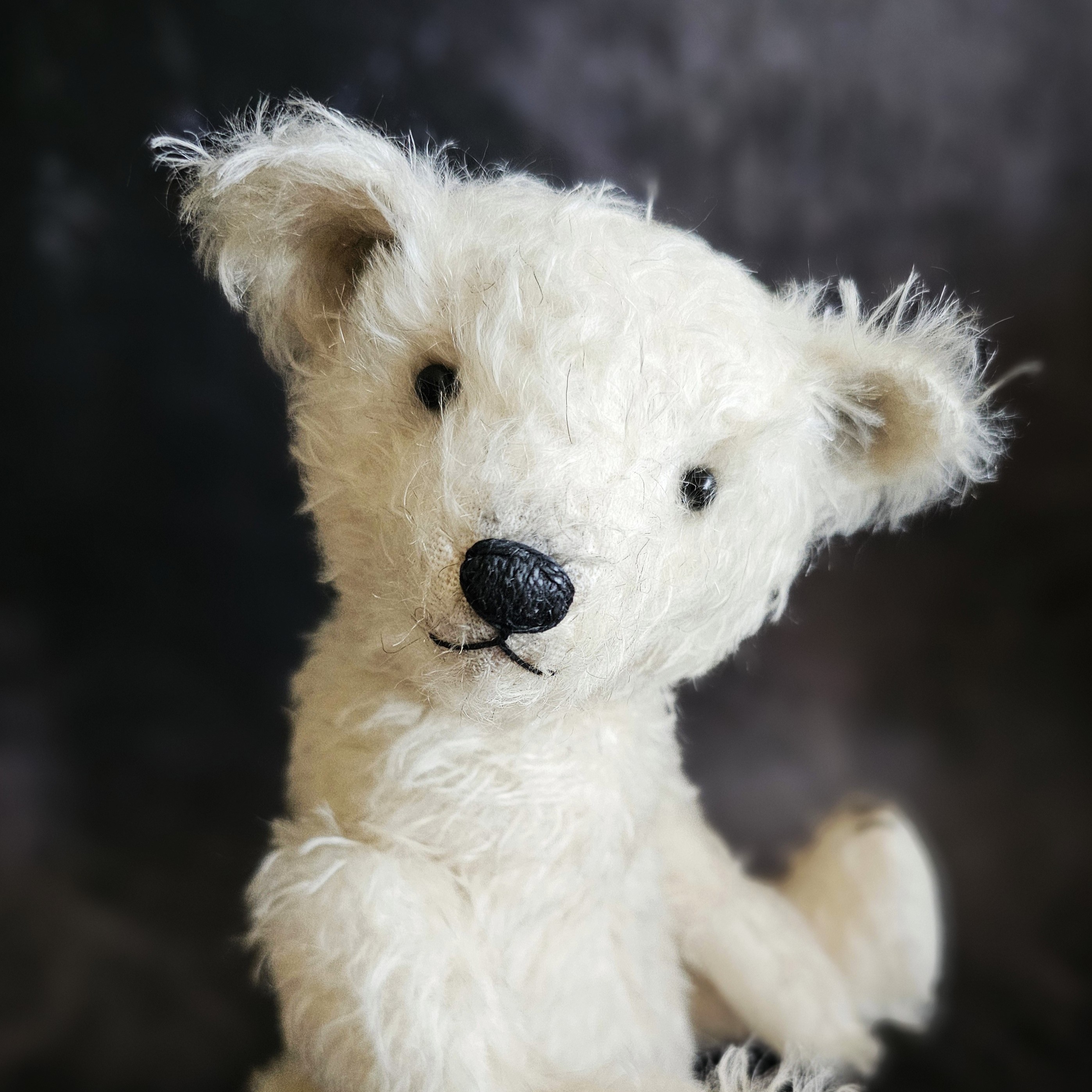 Polar Bear Workshop November