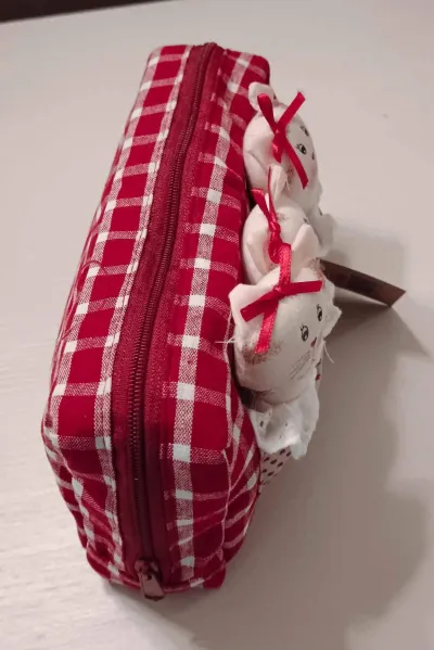 Trousse petits chats