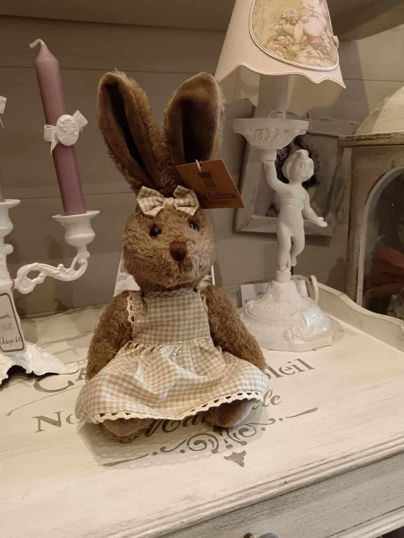 Lapin brun