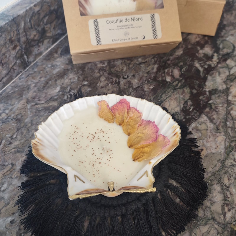 Bougie Coquille de Njörd