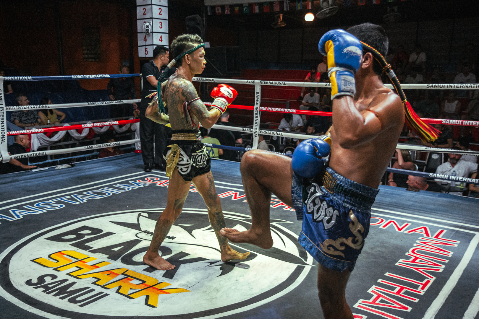 Boxing Match OCT 14, 2025 (Tuesday)