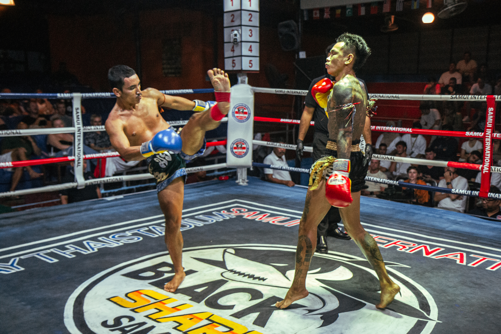 Boxing Match OCT 21, 2025 (Tuesday)