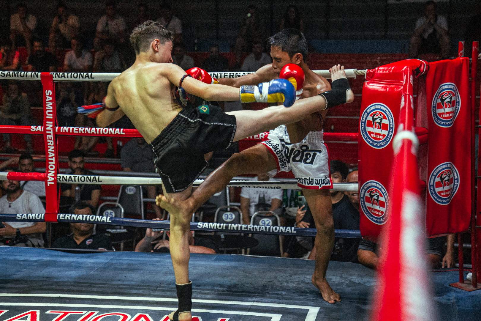 Boxing Match NOV 4, 2025 (Tuesday)