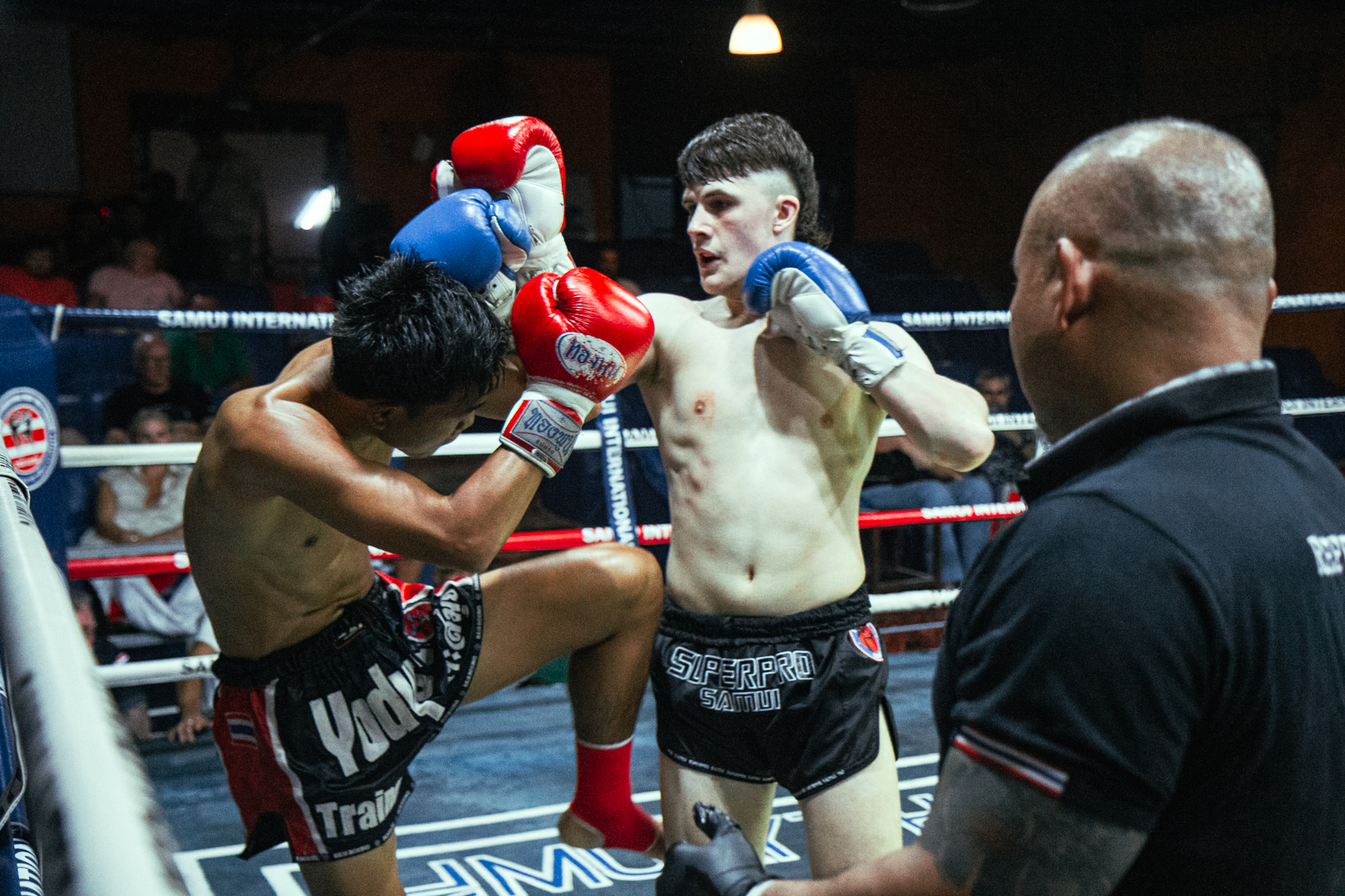 Boxing Match NOV 14, 2025 (Friday)