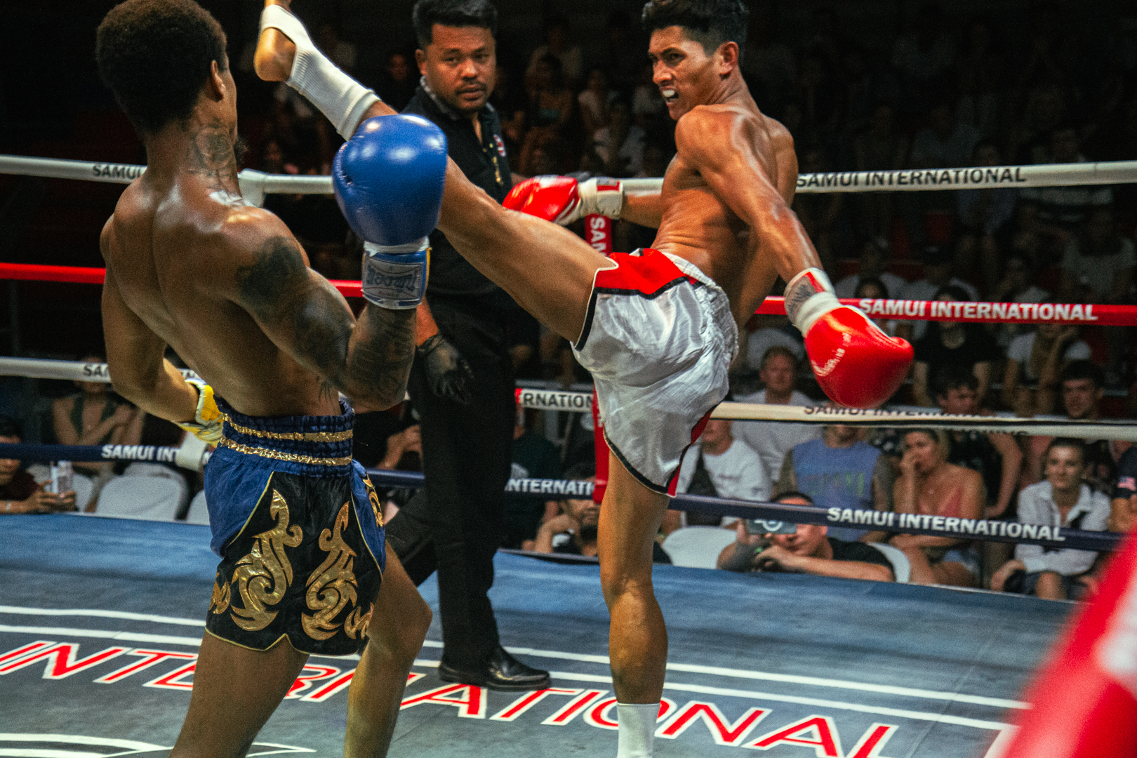 Boxing Match NOV 23, 2025 (Sunday)