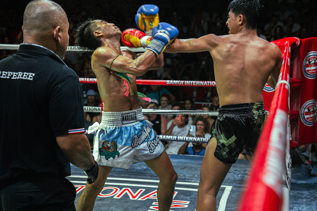 Boxing Match NOV 30, 2025 (Sunday)