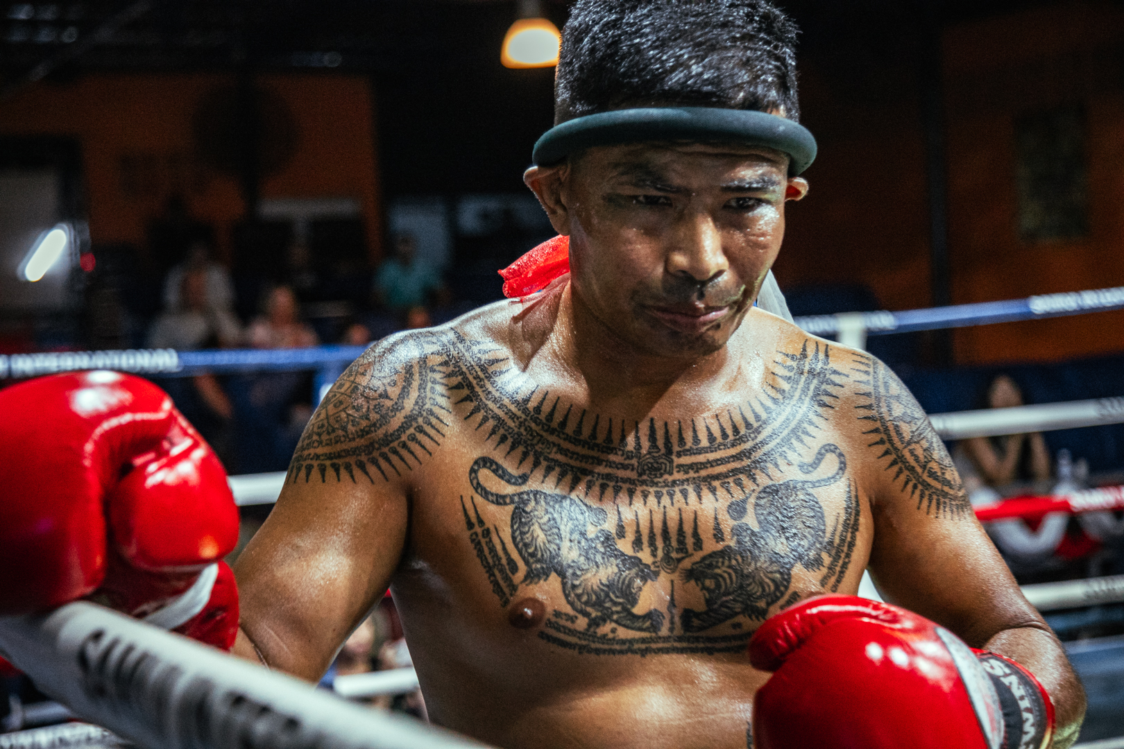 Boxing Match Feb 1, 2026 (Sunday)