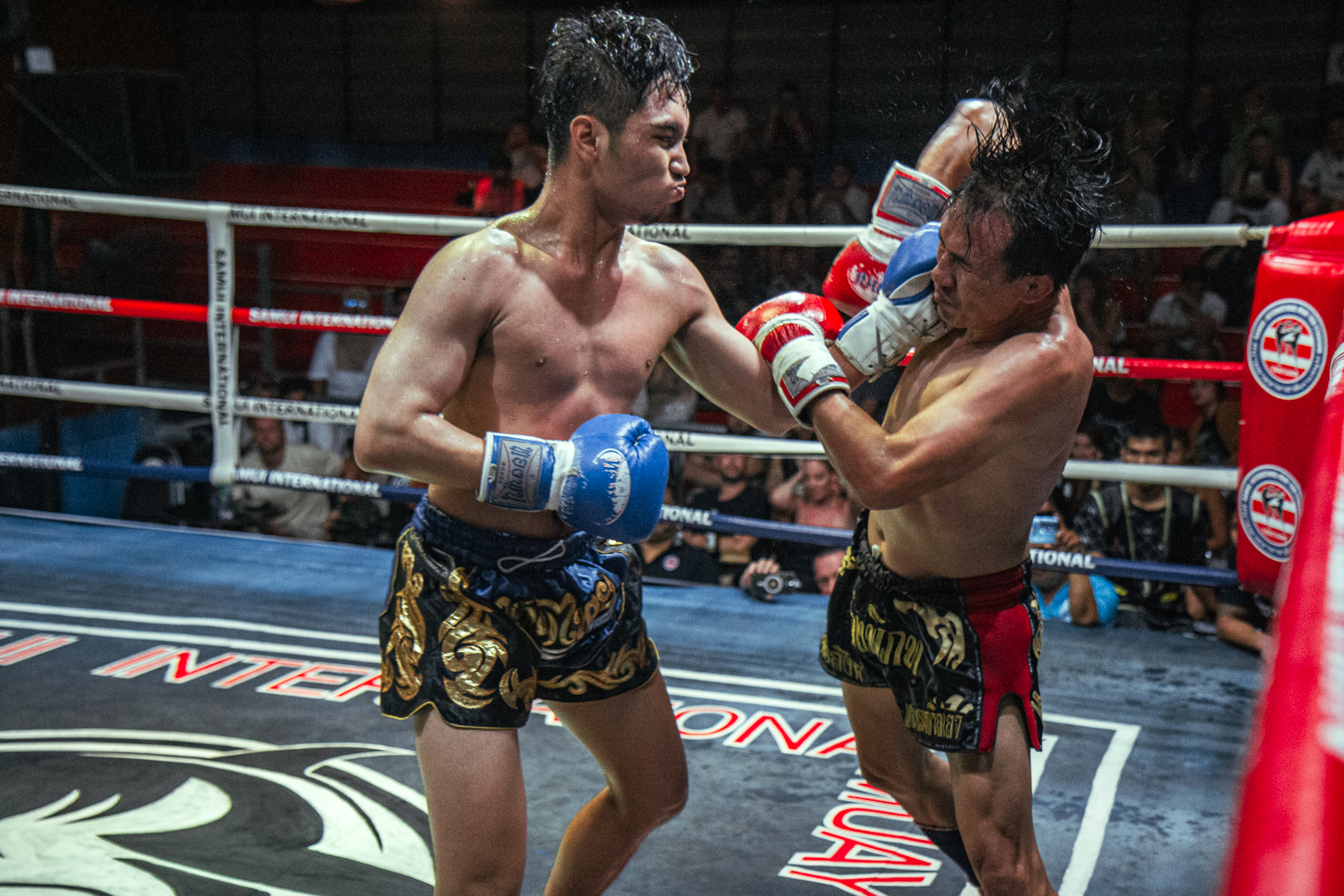 Boxing Match Feb 10, 2026 (Tuesday)