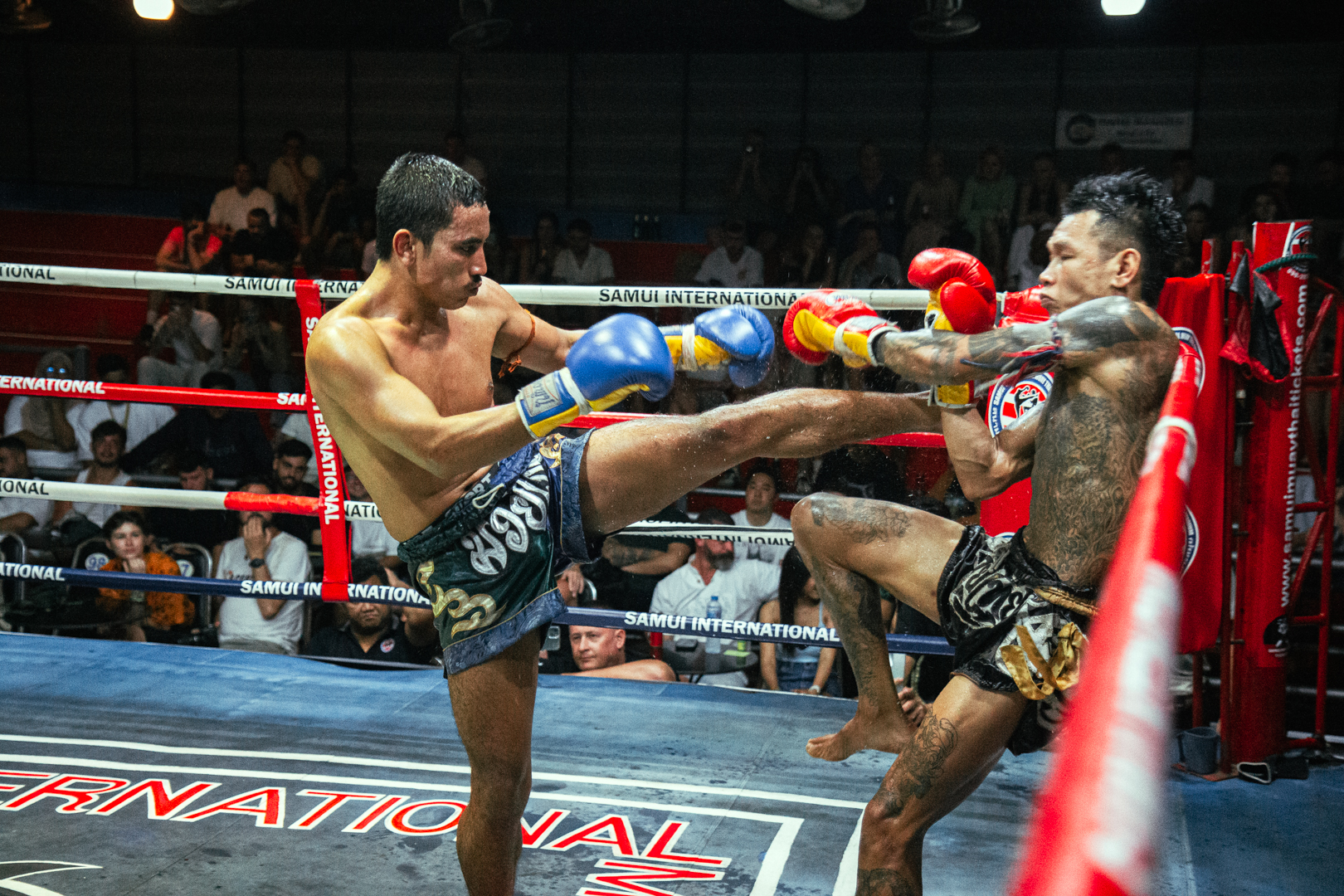 Boxing Match Feb 22, 2026 (Sunday)