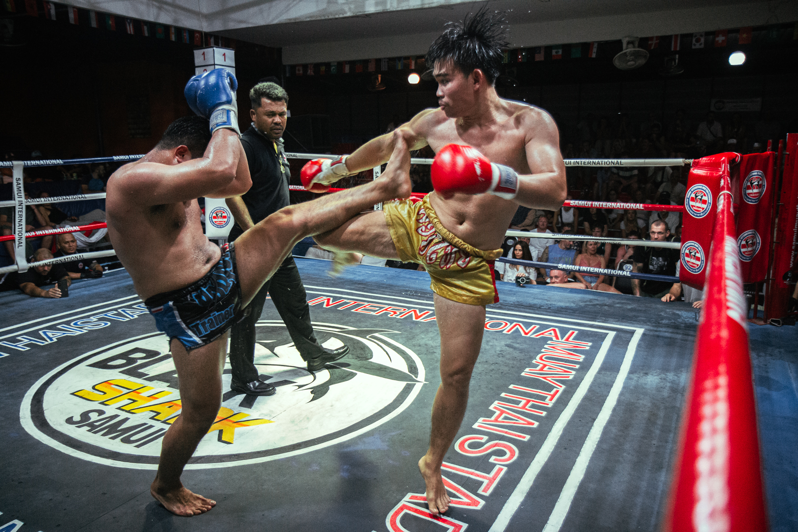Boxing Match Feb 24, 2026 (Tuesday)