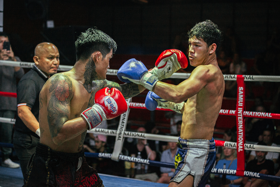 Boxing Match March 3, 2026 (Tuesday)