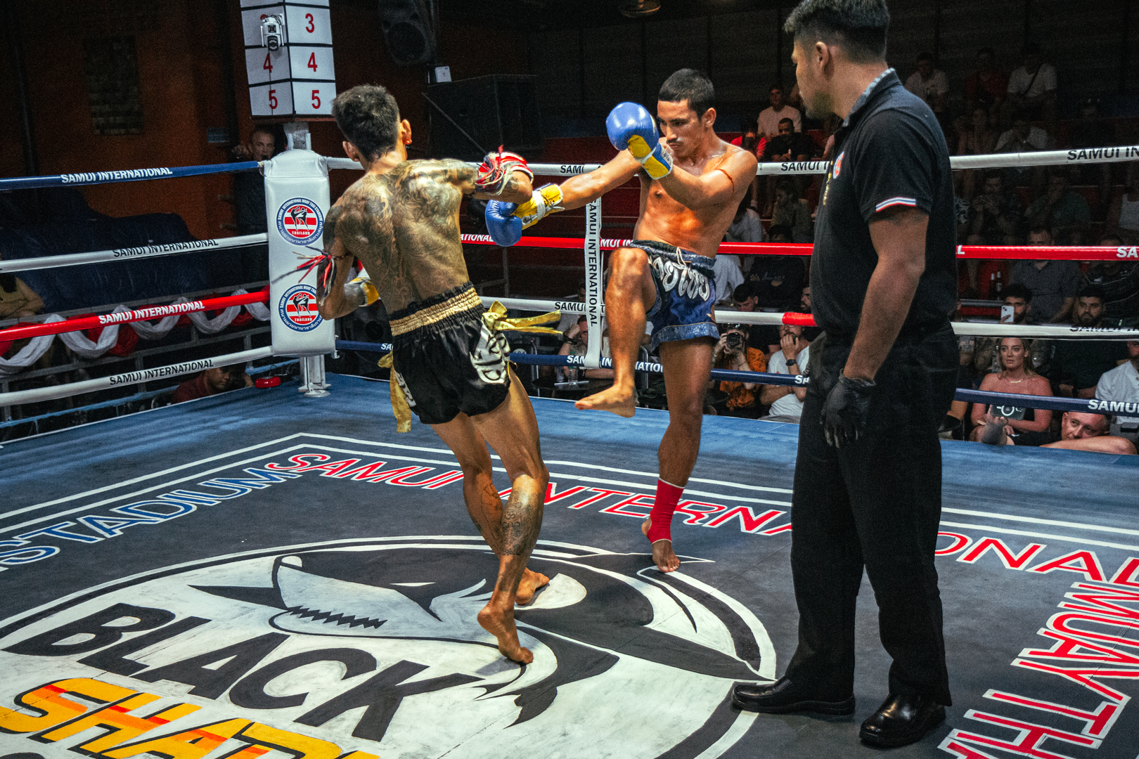 Boxing Match March 10, 2026 (Tuesday)