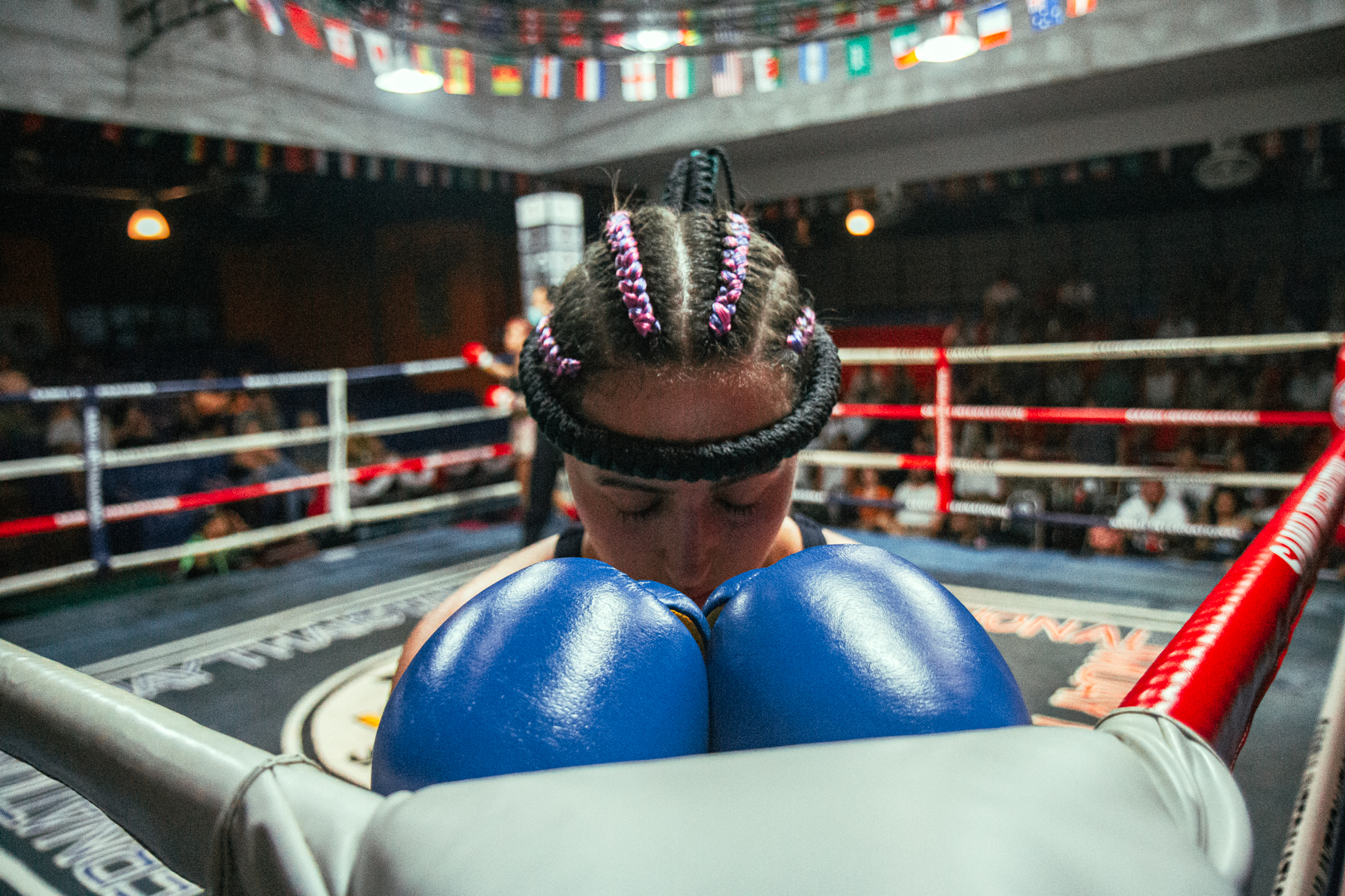 Boxing Match May 24, 2026 (Sunday)
