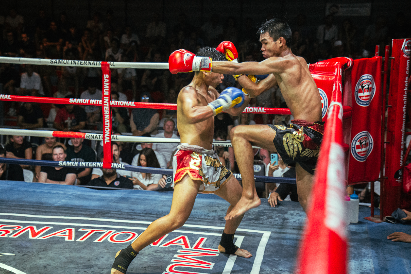 Boxing Match June 7, 2026 (Sunday)