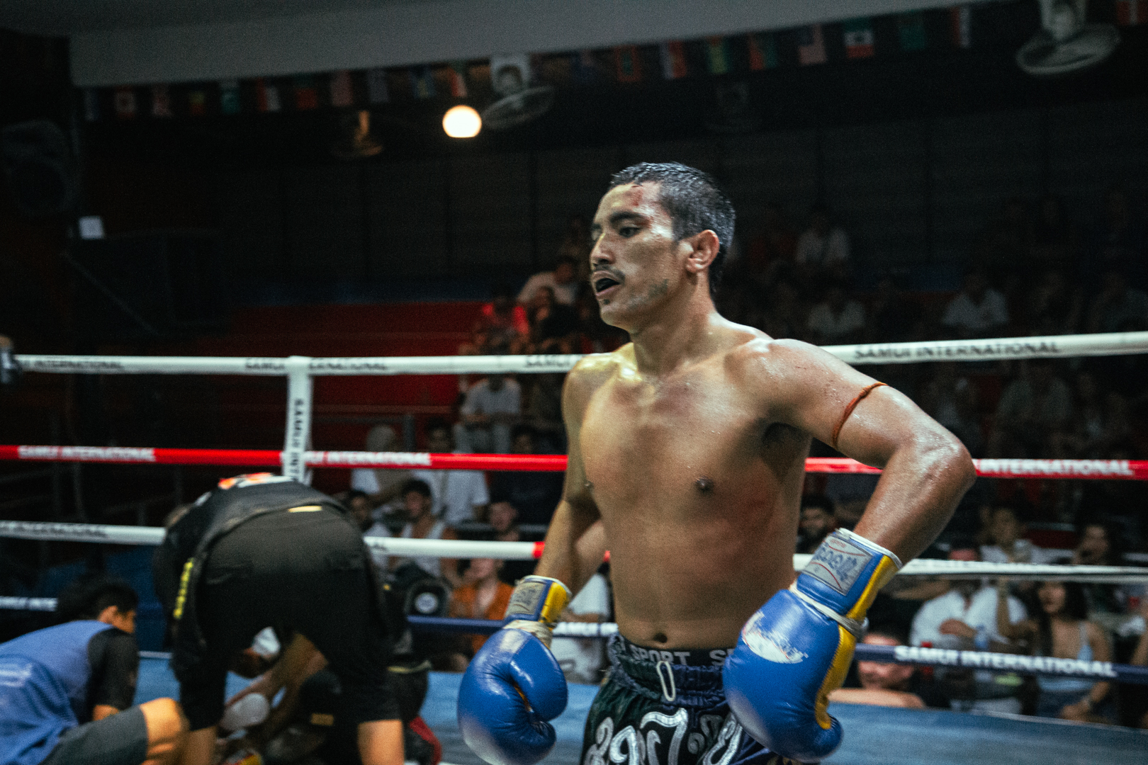 Boxing Match June 9, 2026 (Tuesday)