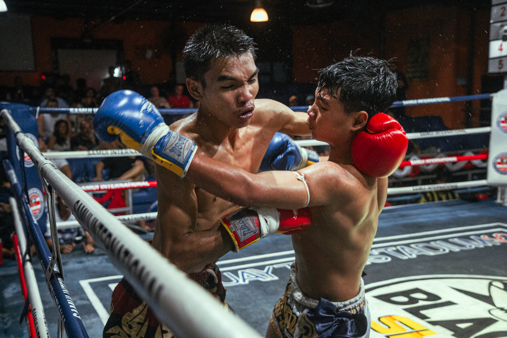Boxing Match June 28, 2026 (Sunday)