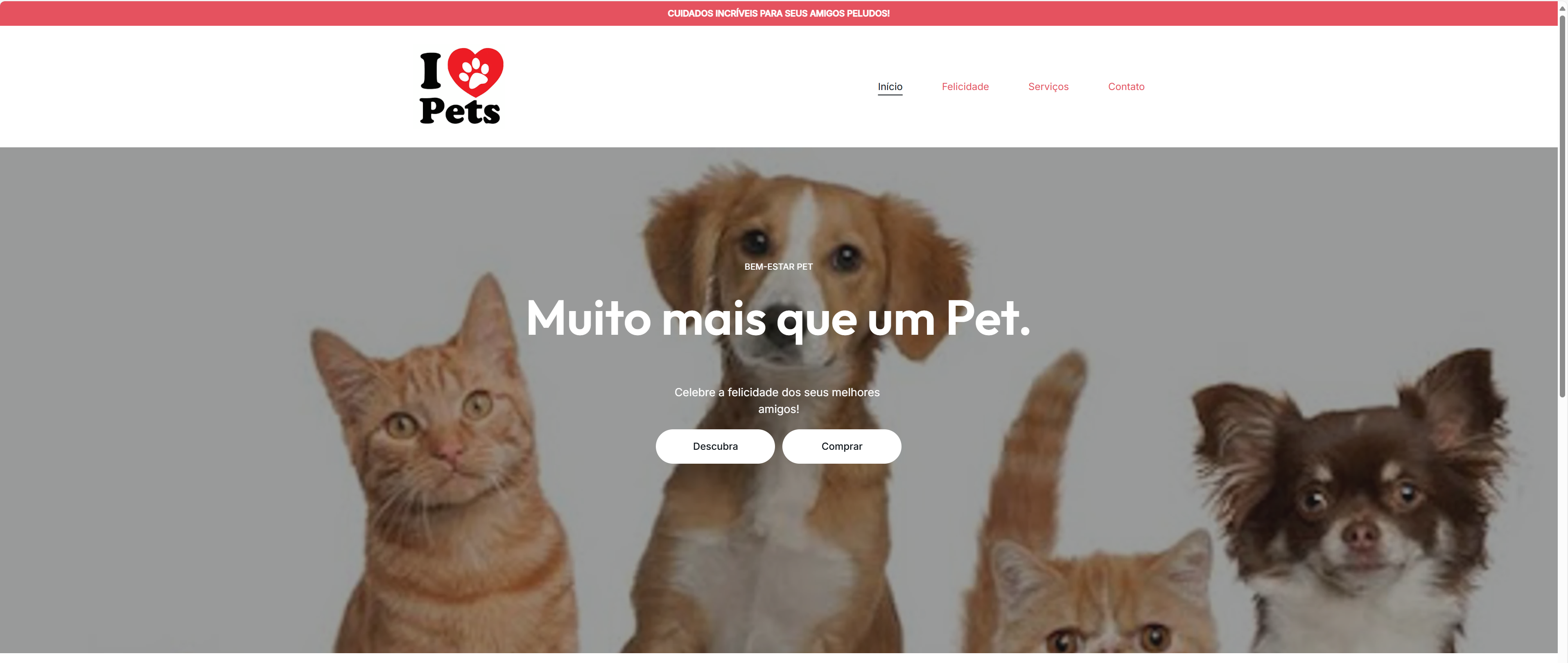 Site Institucional Profissional e Moderno