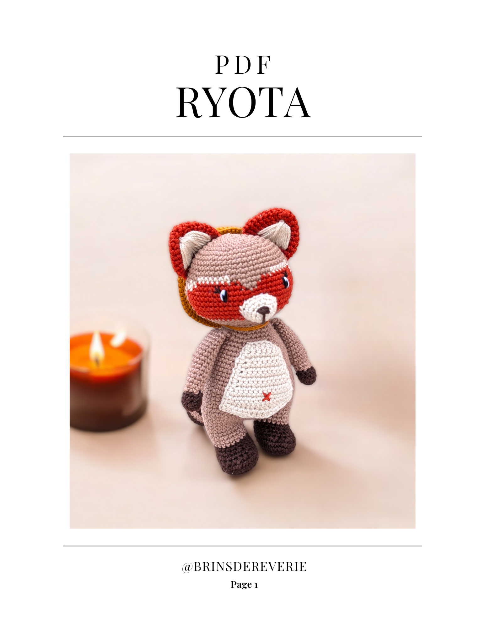 RYOTA LE TANUKI