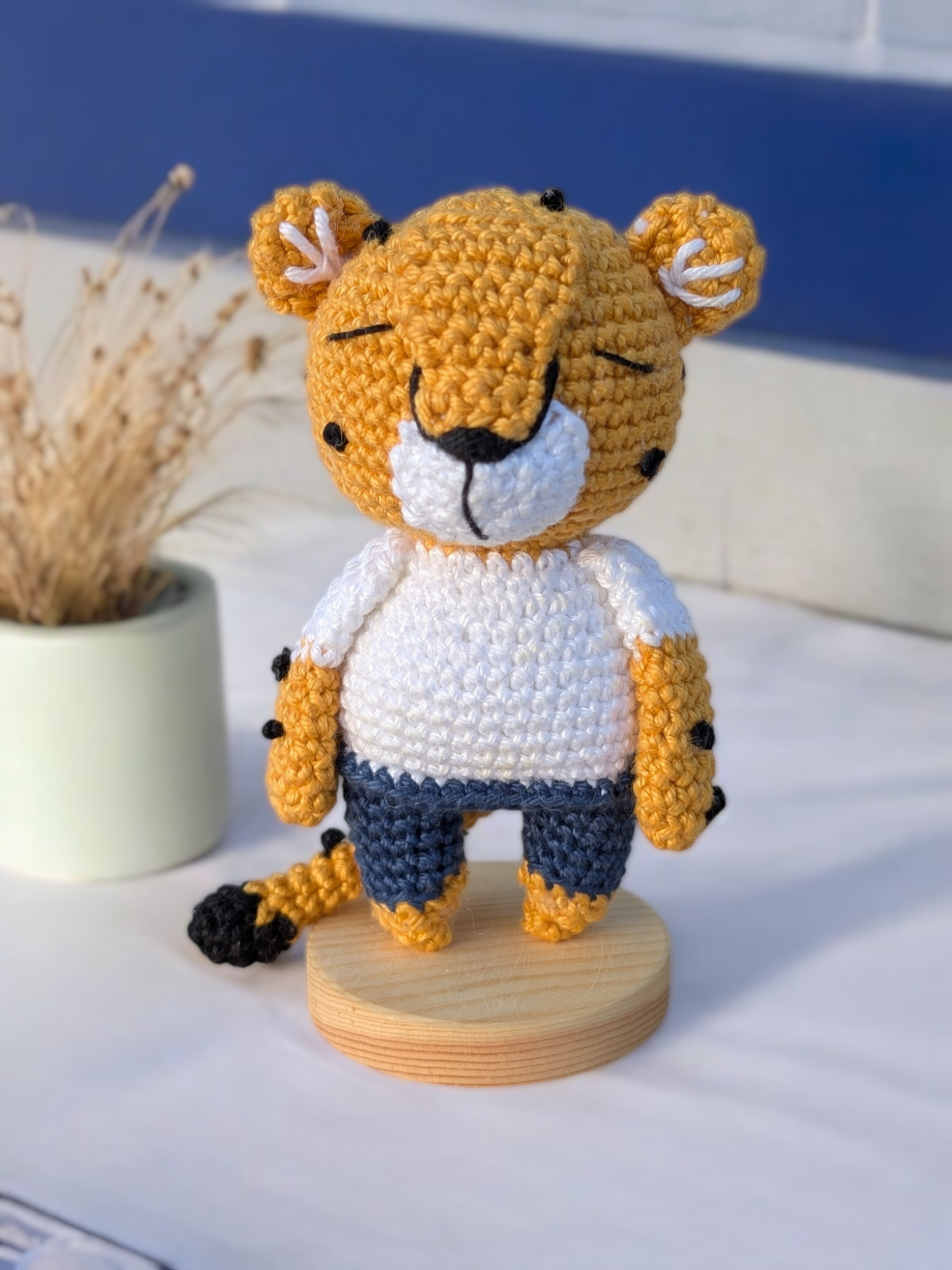 LE GUÉPARD VÉTÉRINAIRE 