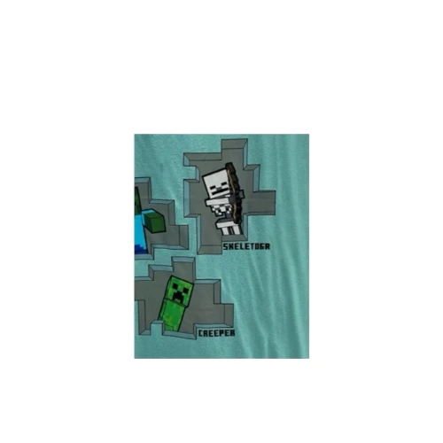 Minecraft Graphic T-Shirt